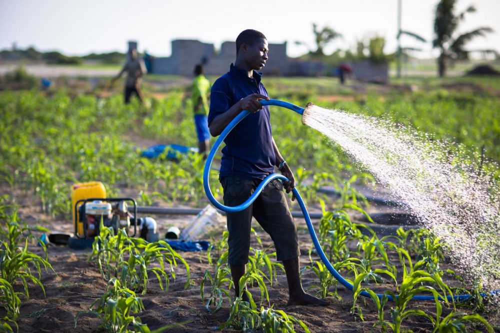 Webinar: Alternative models of irrigation development in Ghana - The